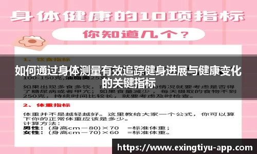 如何通过身体测量有效追踪健身进展与健康变化的关键指标